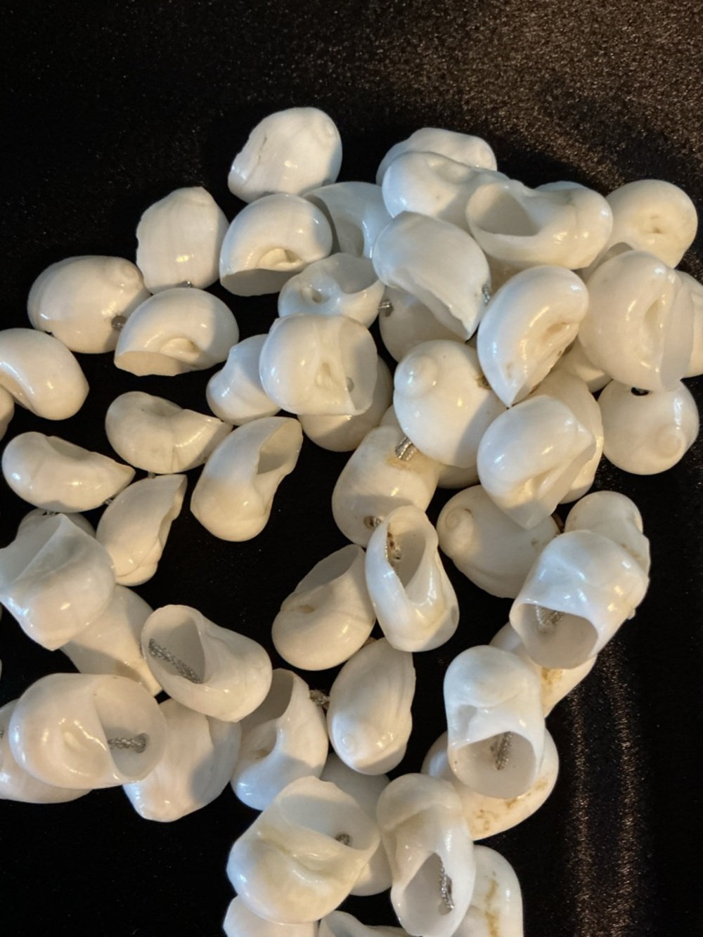 Vintage Shell Lei White Snail Shell Necklace - Picture 4 of 4